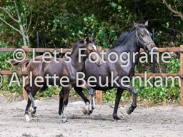 2025_08_30_Stal_Heihoeve